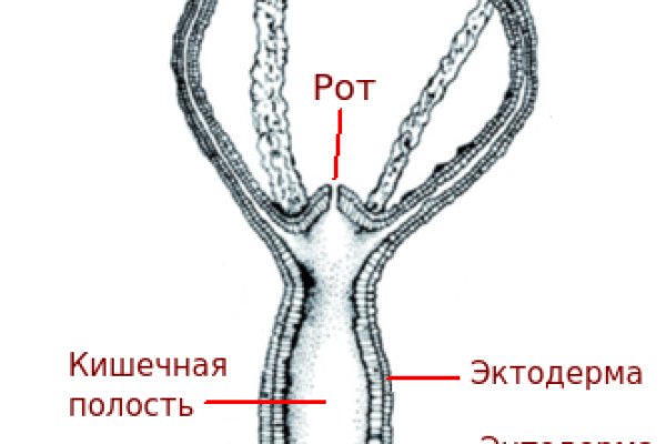 Кракен даркнет сайт ссылка