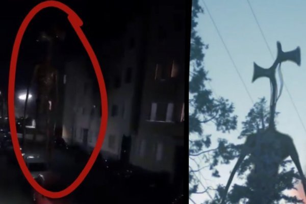 Kraken зеркало