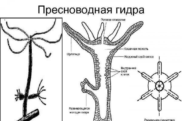 Ссылка адрес на кракен тор