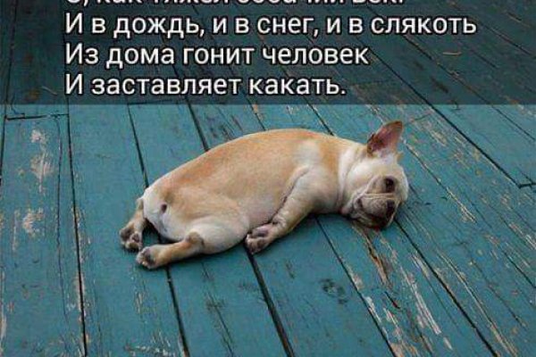 Кракен браузер ссылка